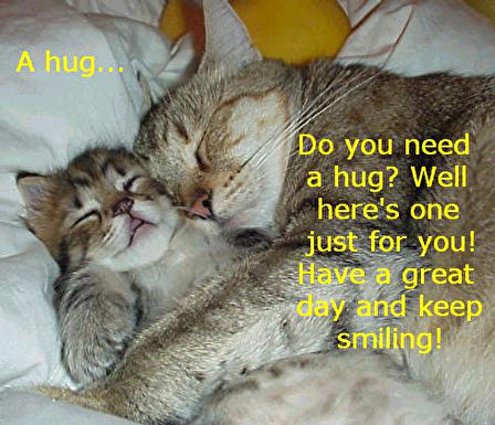 kittyhug.jpg
